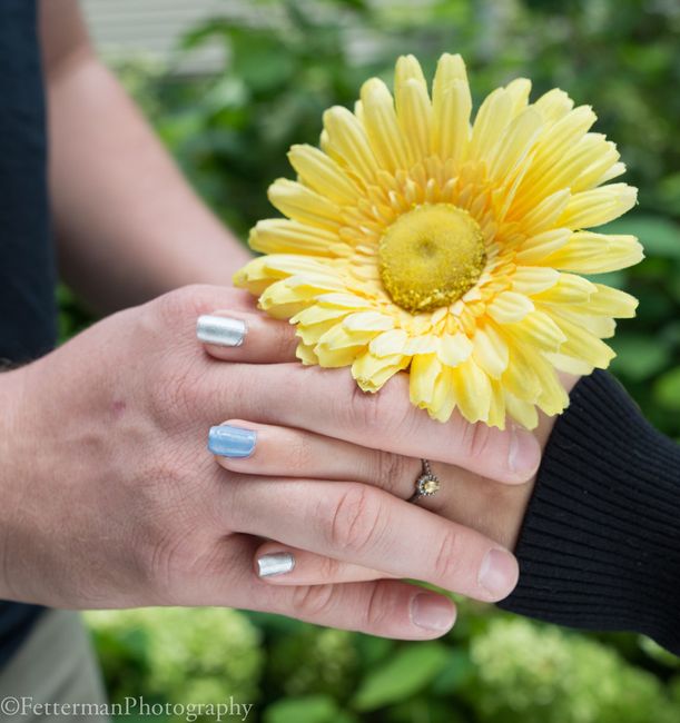 Engagement Pictures!