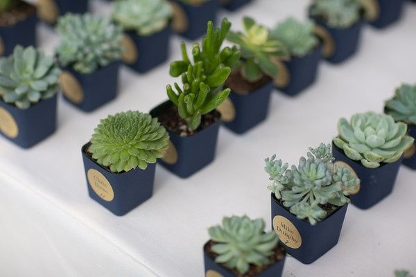 NEED Help Wedding favor