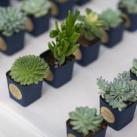 NEED Help Wedding favor