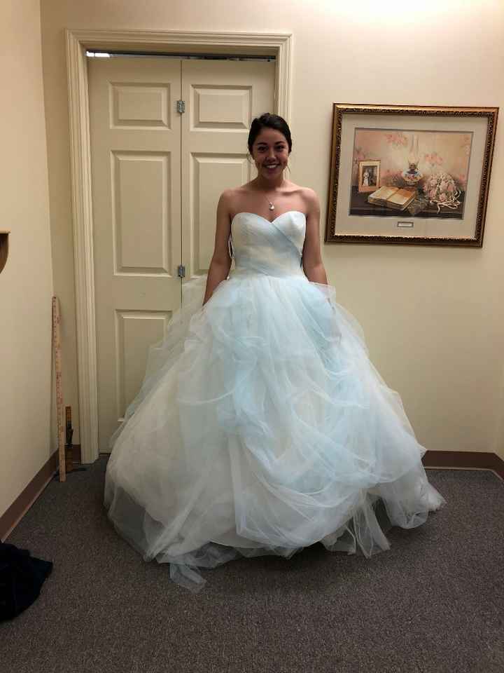 Vera Wang Ombre Dress in Frost