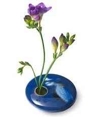poky things that hold flowers...what are those things called??