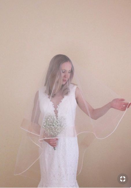 Blush Veil 
