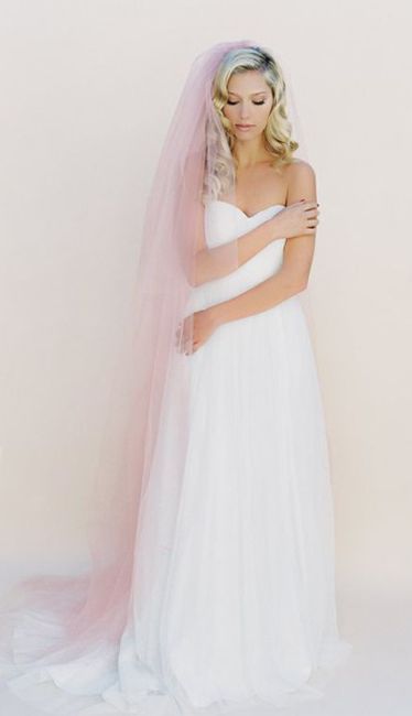 Blush Veil
