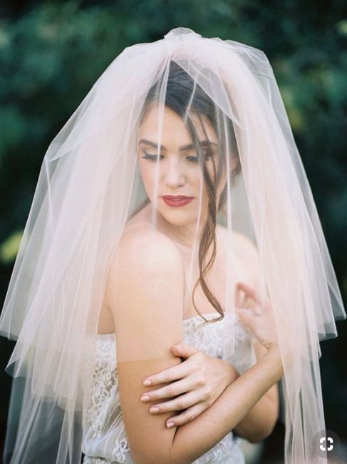 Blush Veil