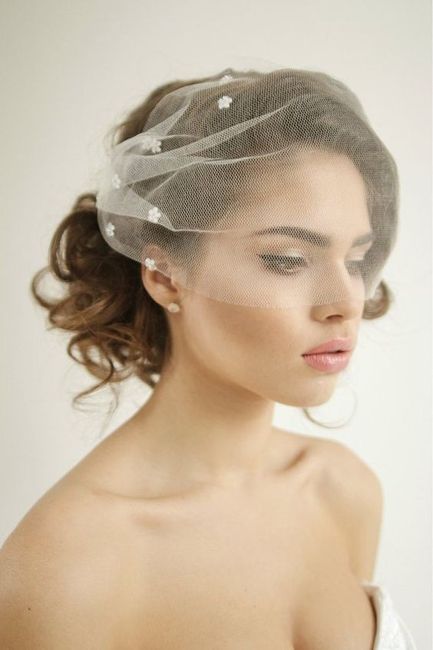 Veils for a dress with a cape? photos or suggestions? 6