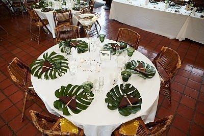 Rainforest Engagment 4