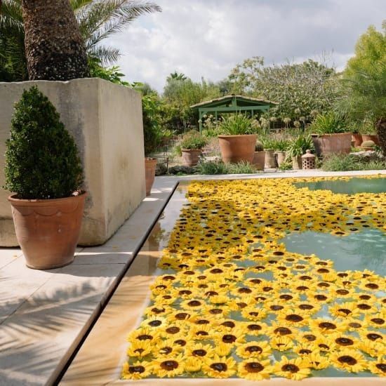 Beach wedding diy decor 5