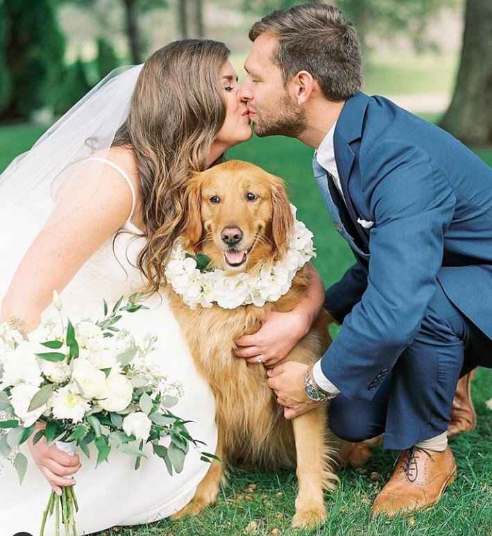 Involving Pets in Wedding Day