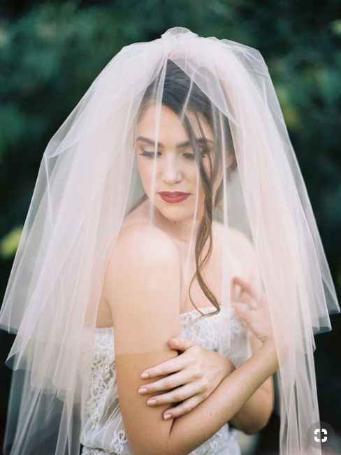 Blush Veil