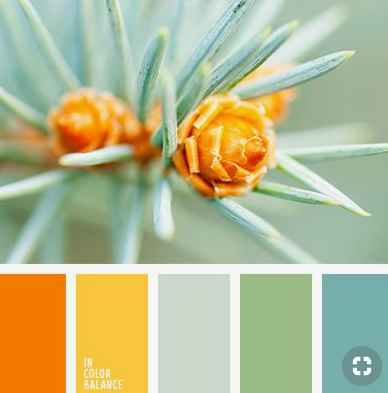 Color Scheme with Orange