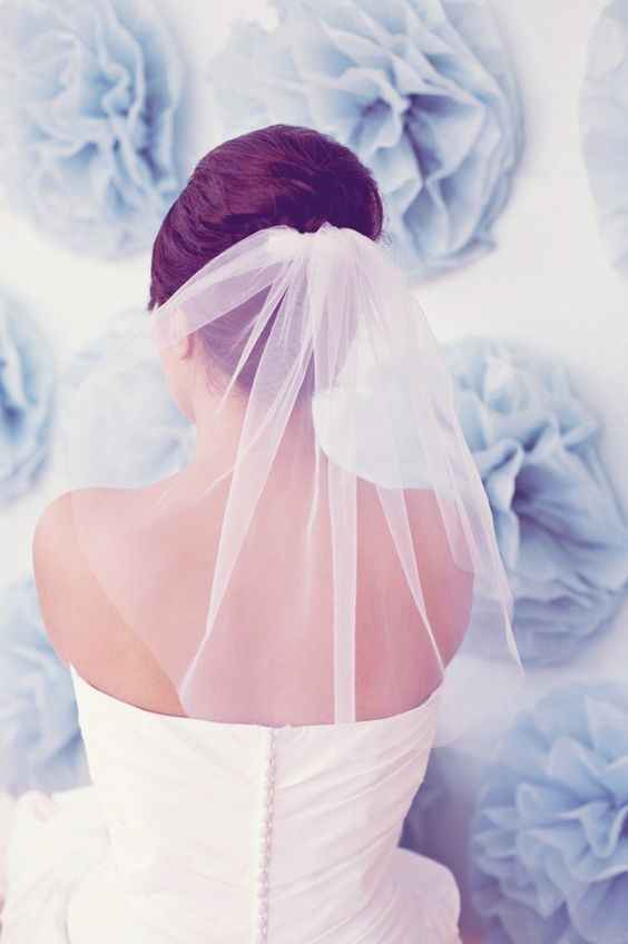 Blusher Length Veils