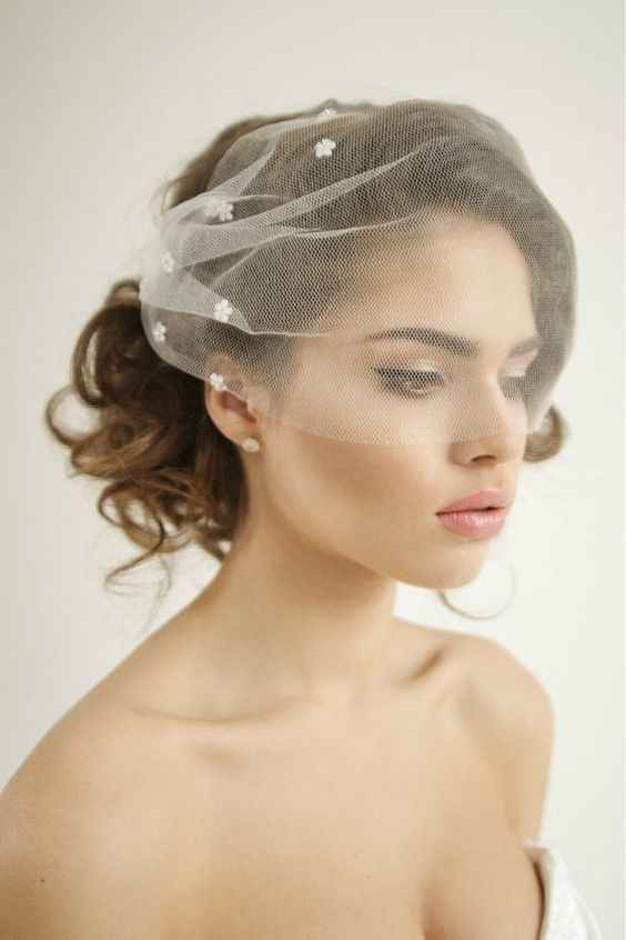 Tulle Birdcage Veil