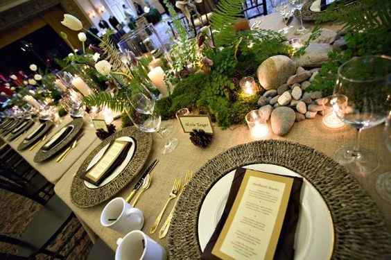 Rainforest Wedding Theme