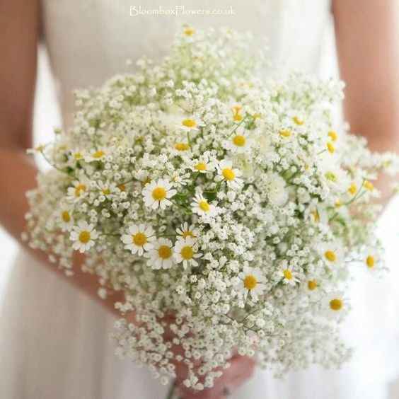 daisy wedding bouquet with babys breath
