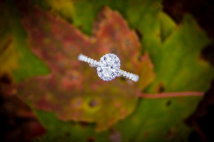 Let me see your rings!