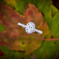 Let me see your rings!