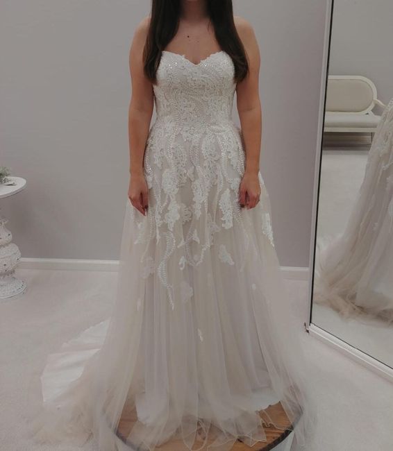 Dress before alterations: