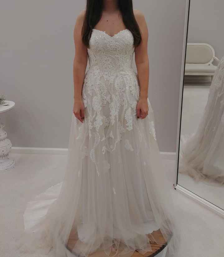 Dress before alterations: