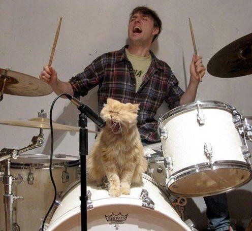 Why are there no Friday animal funnies?