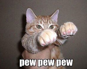 Why are there no Friday animal funnies?