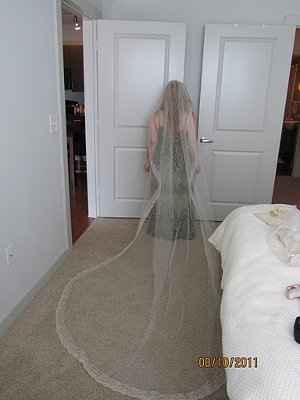 show me your lace veils and mantillas
