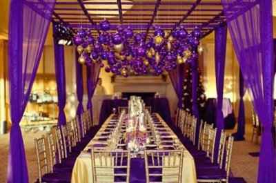 What do you guys think about Gold/Purple Reception?