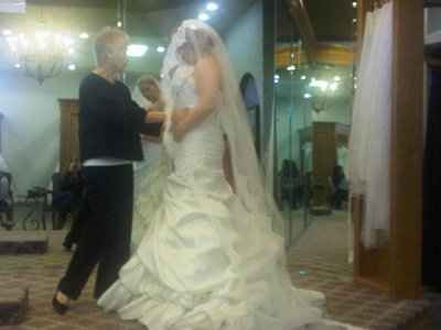 Lace veil with taffeta dress?