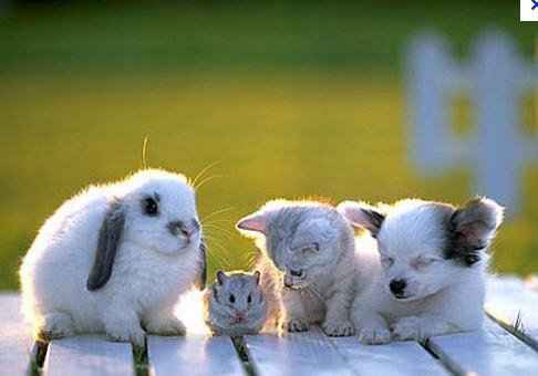 AWWWWWW