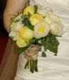 Yellow Flowers?