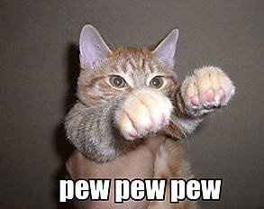 Why are there no Friday animal funnies?