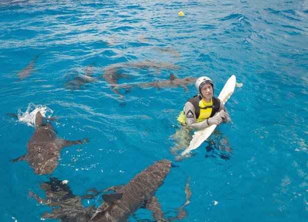 Let's talk Shark Week.