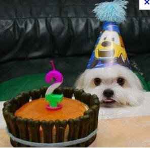 Omigoodness MrsO - IT'S YOUR BIRTHDAY TOO!