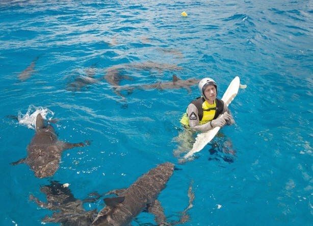 Let's talk Shark Week.