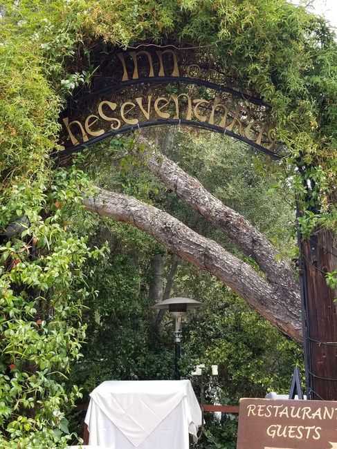 Advice pretty please! 5