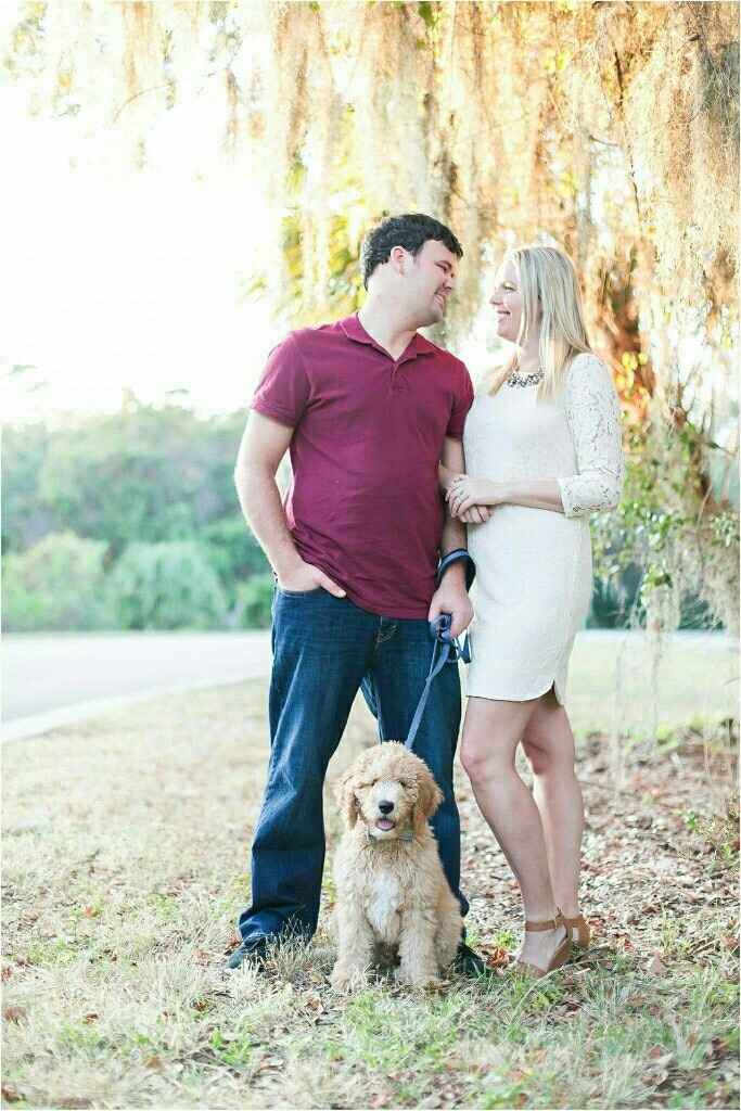 KWR - Puppy Photoshoot