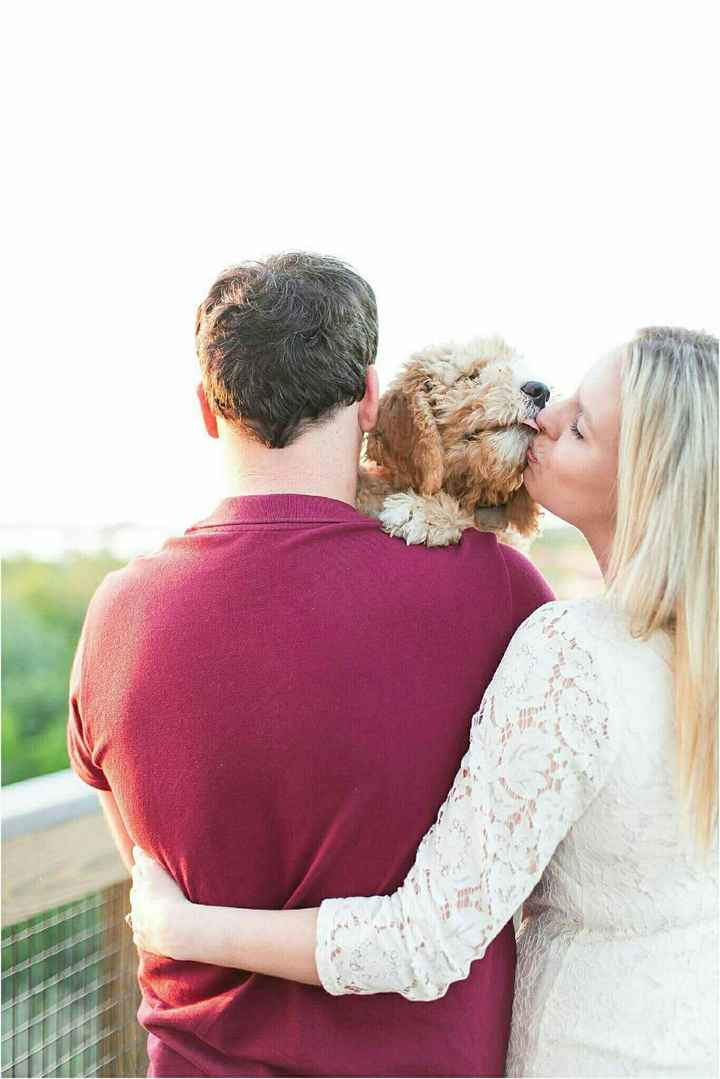 KWR - Puppy Photoshoot