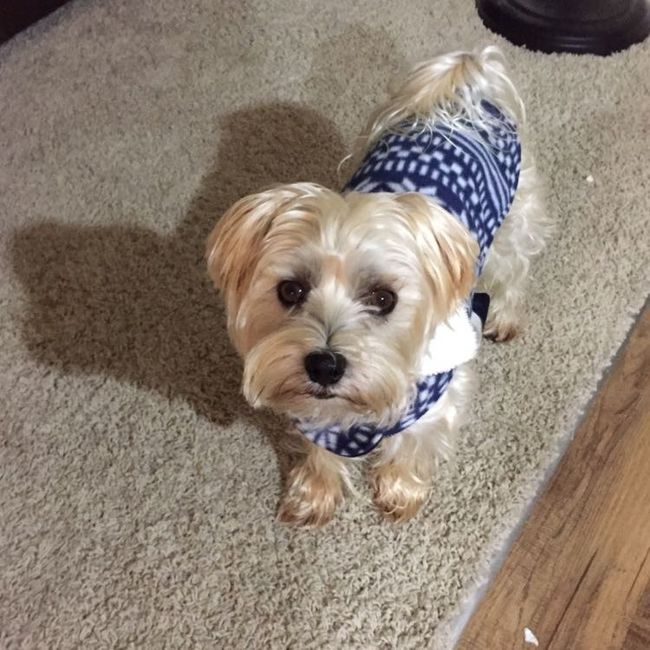 Nwr: my pup