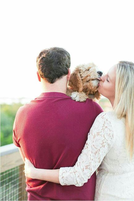 KWR - Puppy Photoshoot