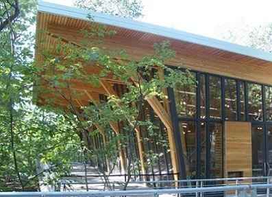 How to decorate my tree-house ceremony?