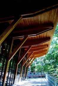 How to decorate my tree-house ceremony?