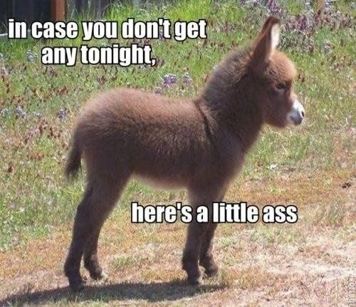 NWR.....Random Friday pics