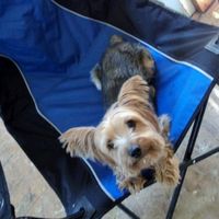 Lets see those puppies that we share with our FHs!