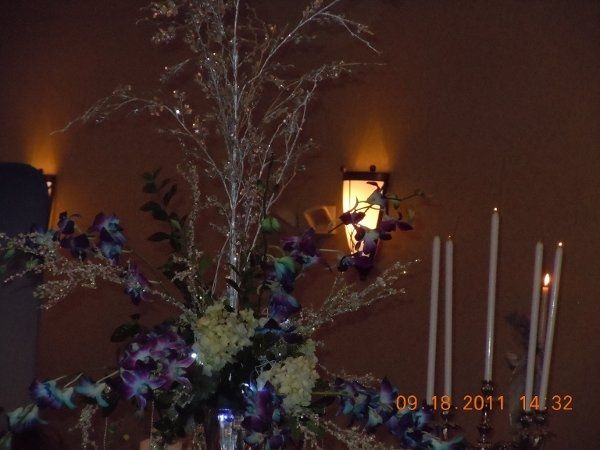 fresh flowers