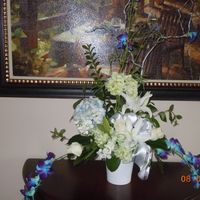 Hydrangeas in August?