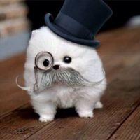 NWR: got fired today and need cheering up!