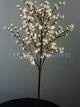 Lighting ideas for reception