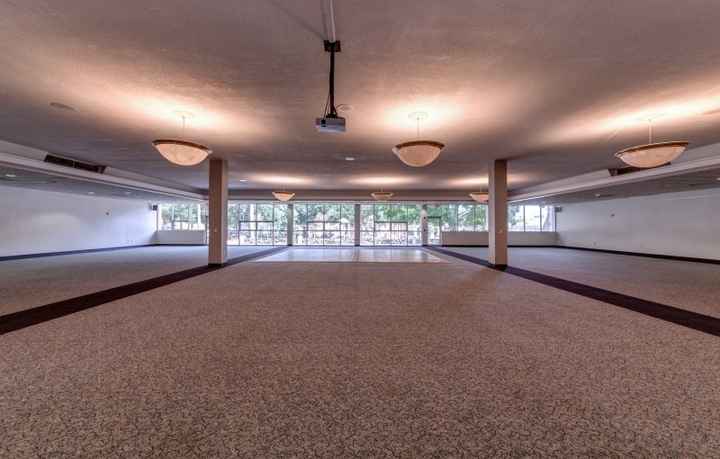 Large scale ceiling decor on a budget