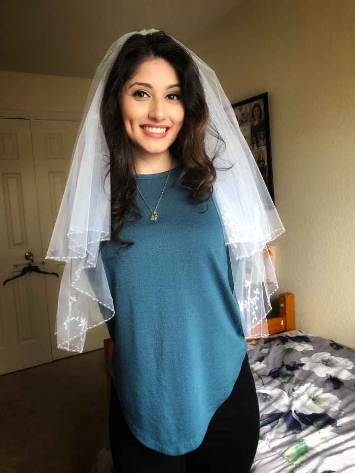 My veil arrived!! - 1
