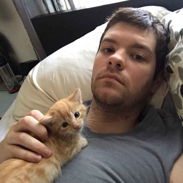 NWR- FH found TEENY KITTEN!!