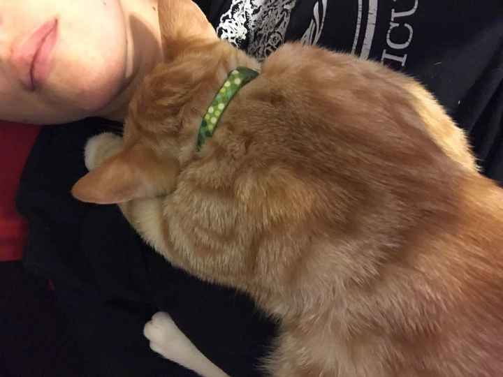 NWR- back from Vegas...